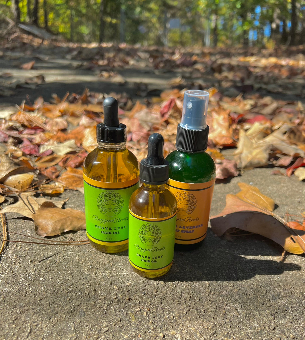 Let's get to the roots TRIO